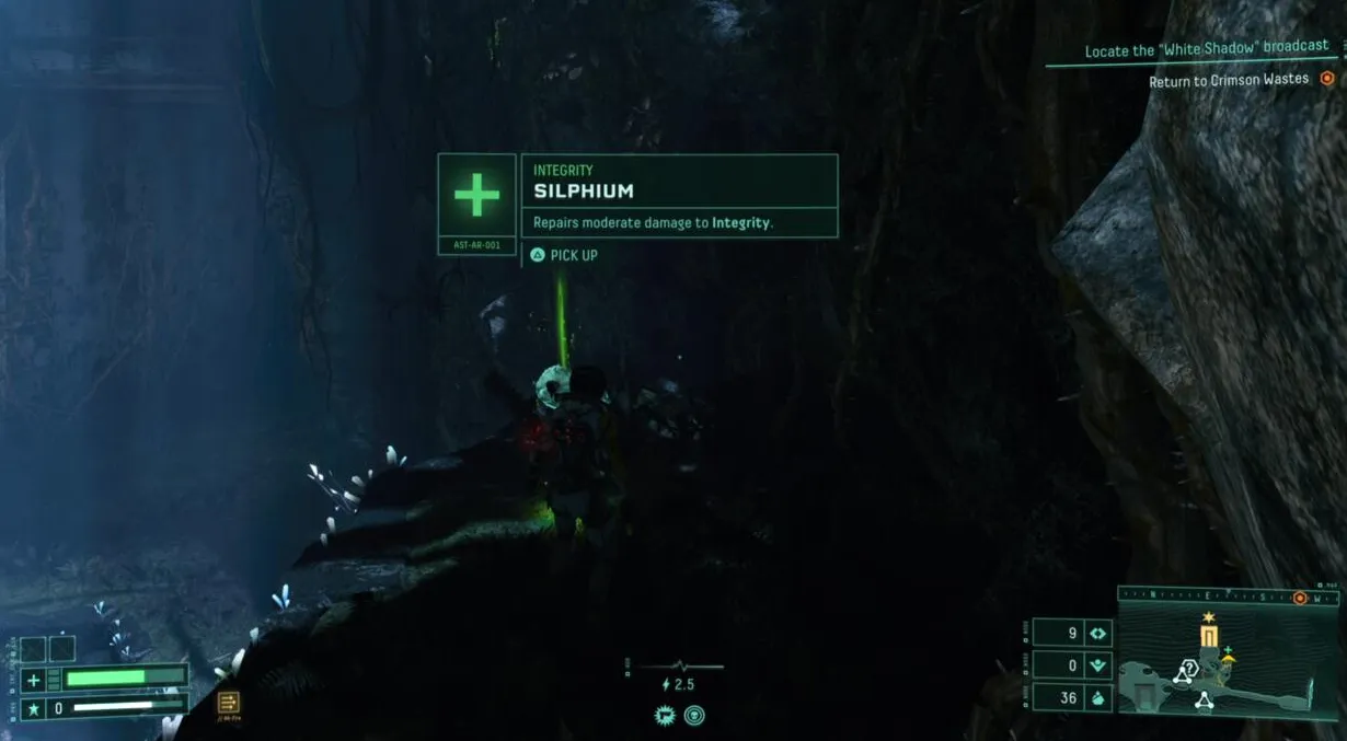 Esté siempre mirando a su alrededor y observando mejoras en la salud.