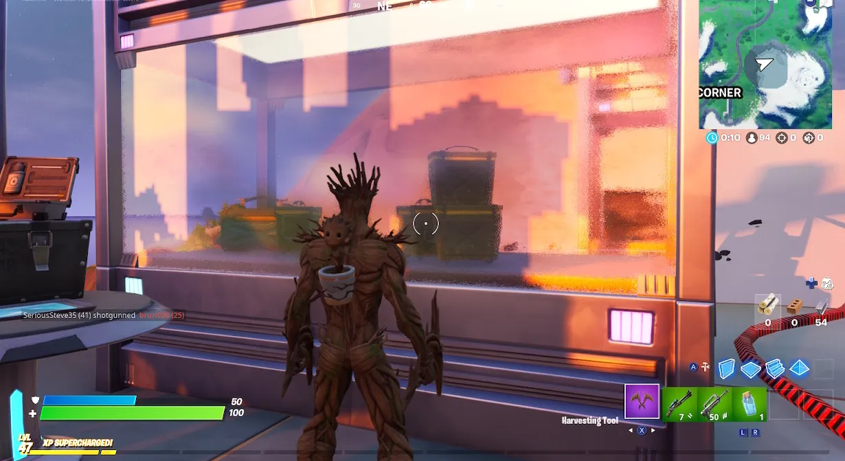 Vitrina Fortnite El Coleccionista