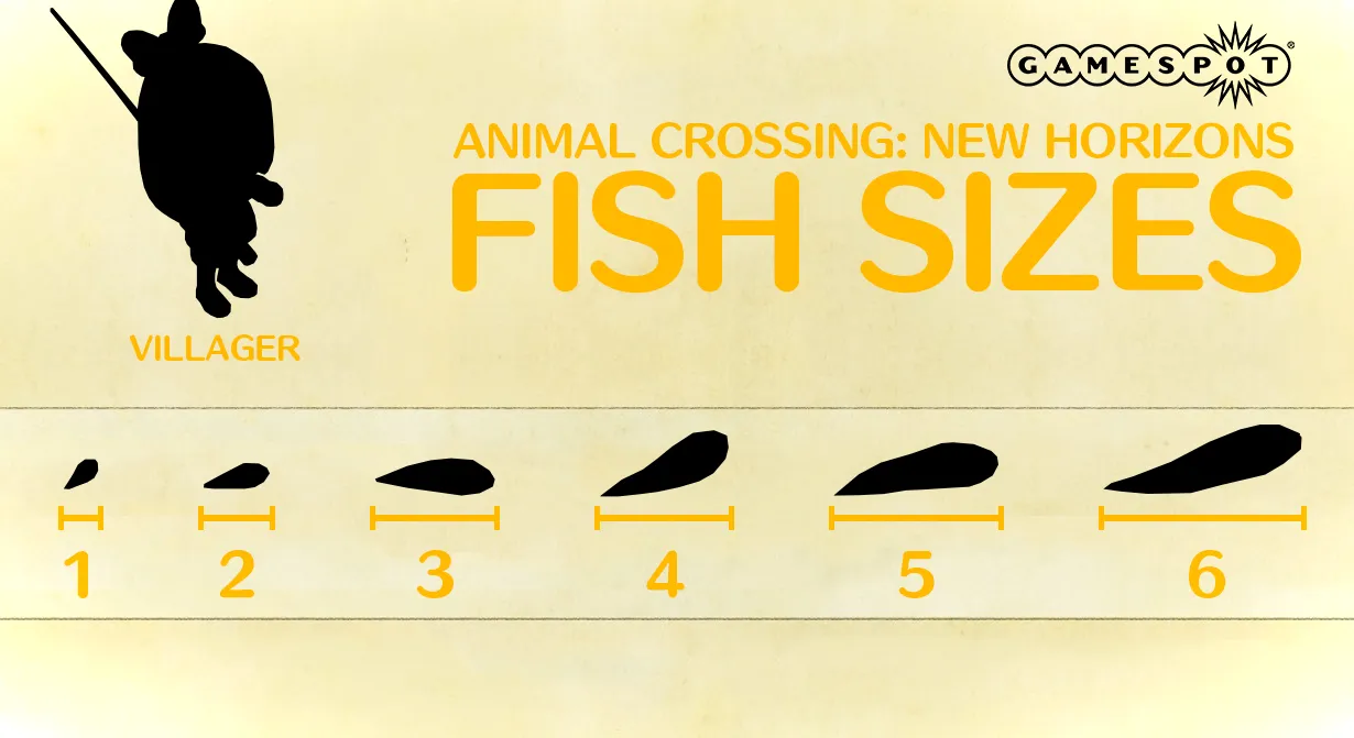 Todos los tamaños de peces estándar en Animal Crossing: New Horizons.