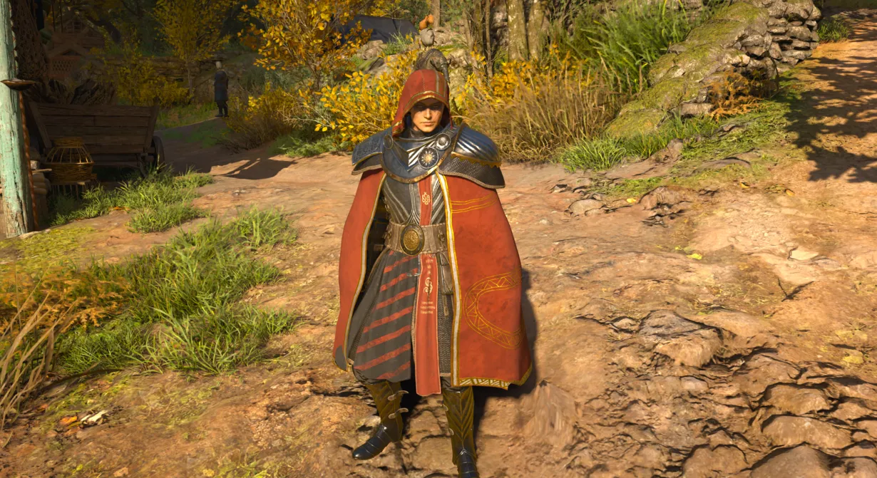 Imagen de la galería 2