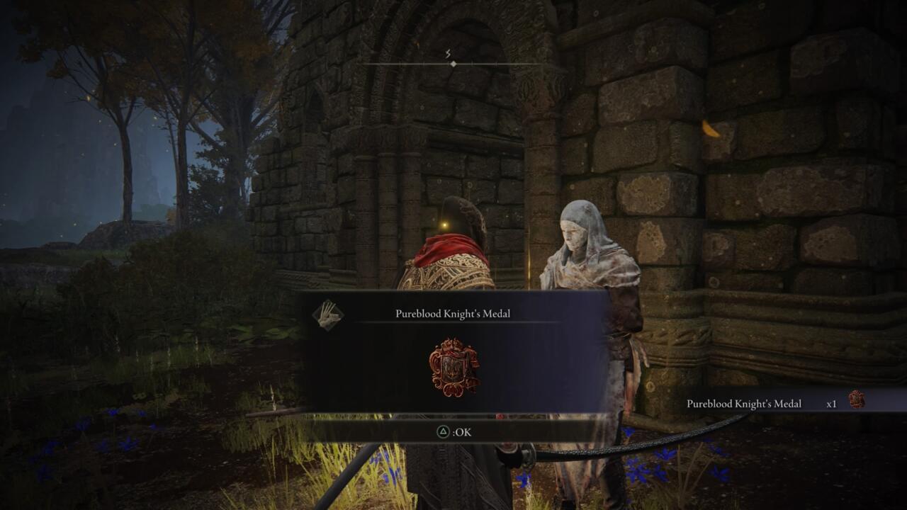 El Pureblood Knight's Metal puede teletransportarte directamente al Palacio Mohgwyn desde cualquier lugar.